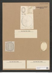 Diatomeae indet. (de-Toni-Nr.: Species 2439 ?) Zeichnungen Sammlung Grunow Nr. 5043 (NHMW-BOT-W0373304)